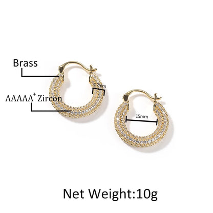 Radiant Iced Hoop Earrings